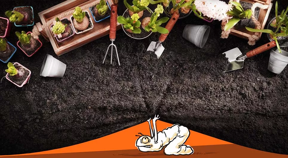 ماذا يحدث في الحديقة؟