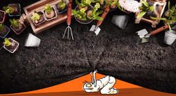 ماذا يحدث في الحديقة؟