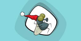 أين يختفي الذباب في الشتاء؟