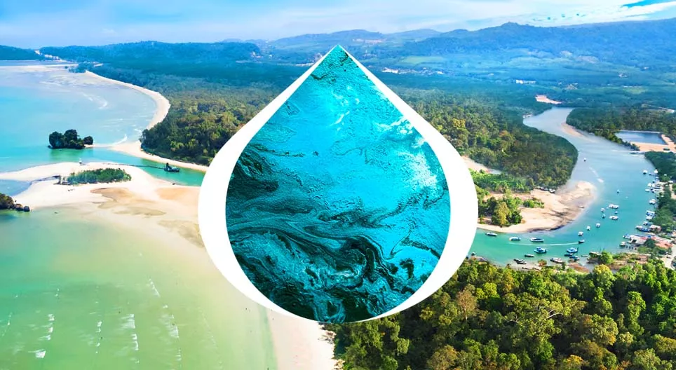 من المنبع إلى المصب