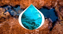 تطور البحيرات