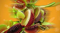 هل تتحرك النباتات؟