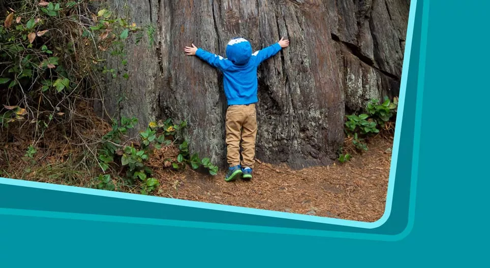 قم بإظهار روعة العالم.