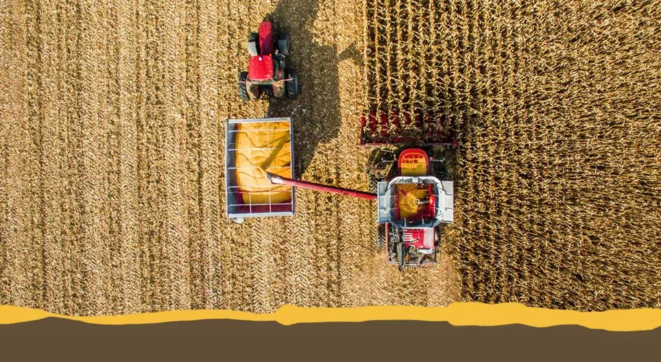 المحاصيل الحقلية المعروفة