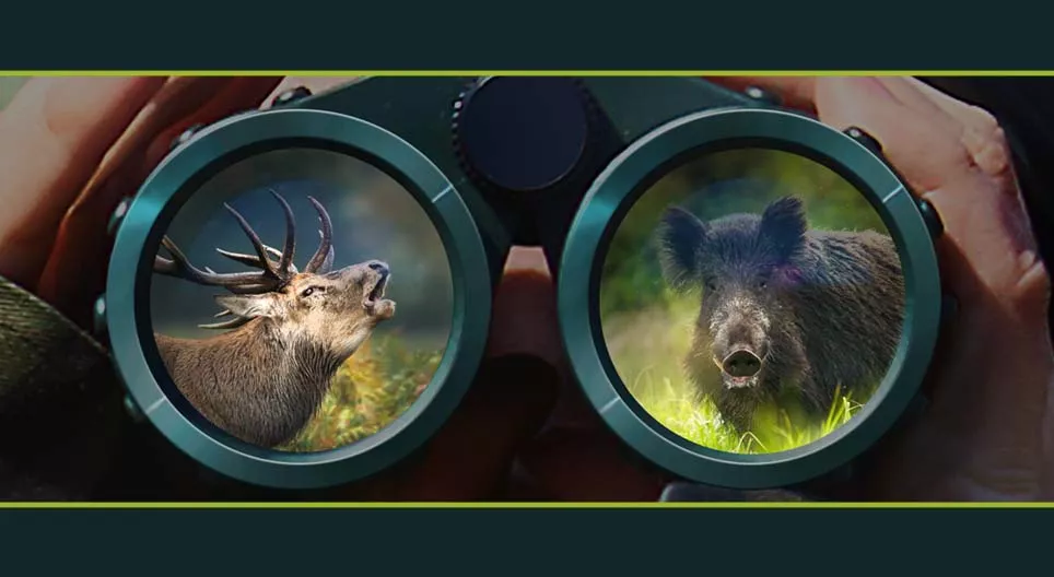 وحوش الغابة