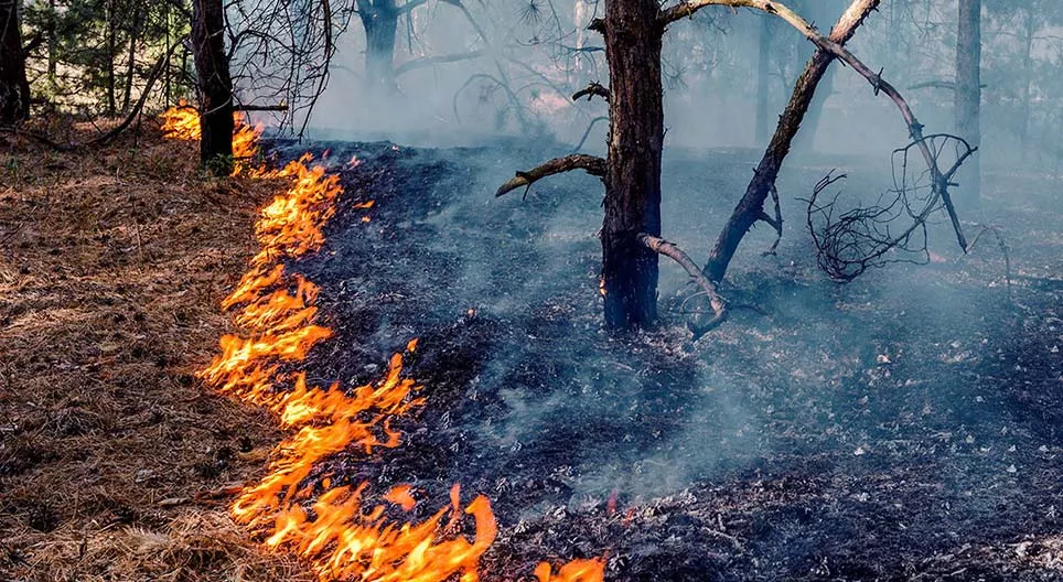 منذ متى بدأنا باستخدام النار؟