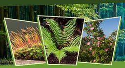 في الضوء و الظل