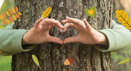 النظام البيئي للغابات