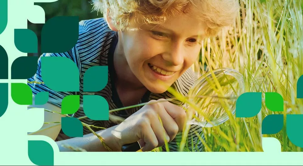 نباتات و حيوانات السهول