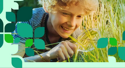 نباتات و حيوانات السهول