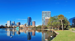 كيف تبدو الحياة في المدن؟