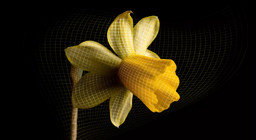 أسرار الكون المتوسع