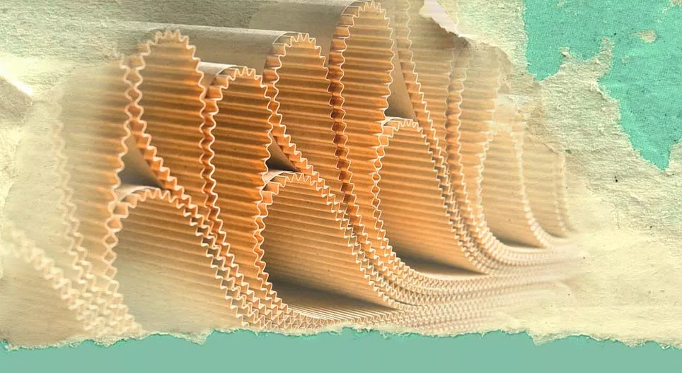 رحلة الورق المثيرة