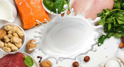 البروتينات، "مواد البناء الأساسية" لجسم الإنسان