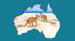 مشاكل بيئية في أرض الكنغر