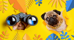 هل يمكنك رؤيته أيضاً؟