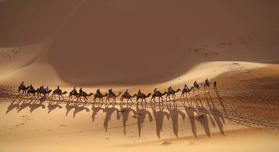 هل تنضم إلى القافلة؟