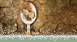 أزمة الغذاء العالمية