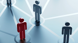 إلى أي شبكة تنتمي؟