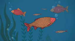 هل تشرب الأسماك؟