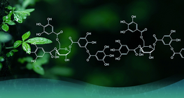 The development of organic chemistry