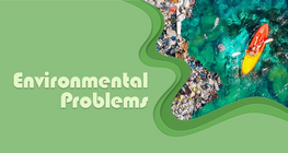 Environmental Problems