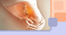 ماذا يحدث لجسم الأنثى أثناء عملية الحمل؟