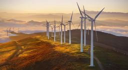 كيف يمكن استخدام طاقة الرياح؟