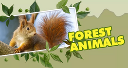 حيوانات الغابة