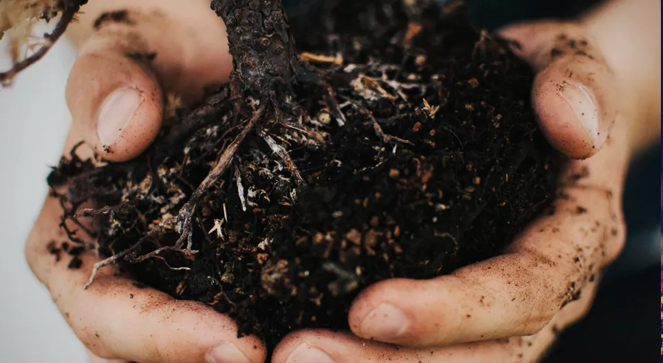 كيف تتشكل التربة؟