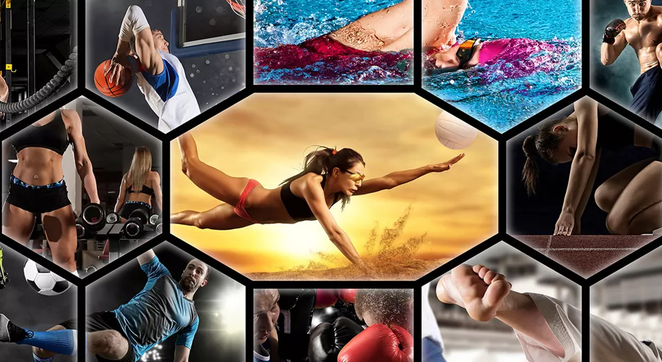 الأنشطة الرياضية