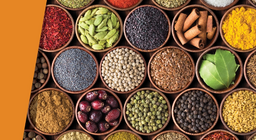 ألف نكهة على لسانك