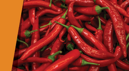 المماثل مع المماثل