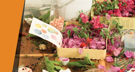 Painting with plants