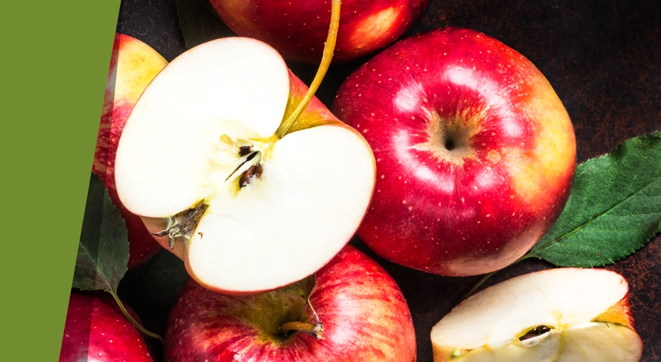 الحصول على دبغة الشمس في الظل