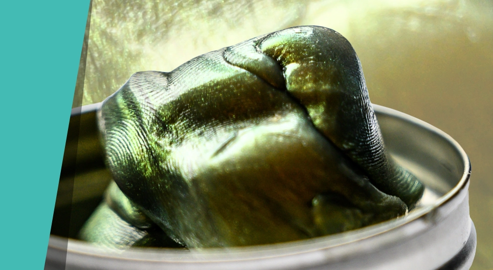 البلاستيسين الذكي