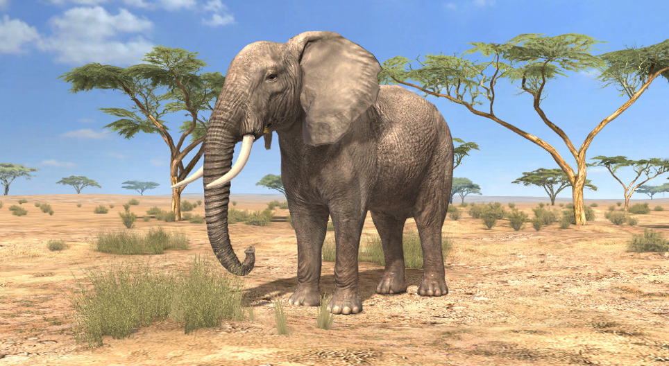 Elefante-africano