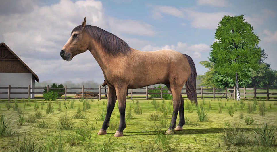 Cavalo domesticado