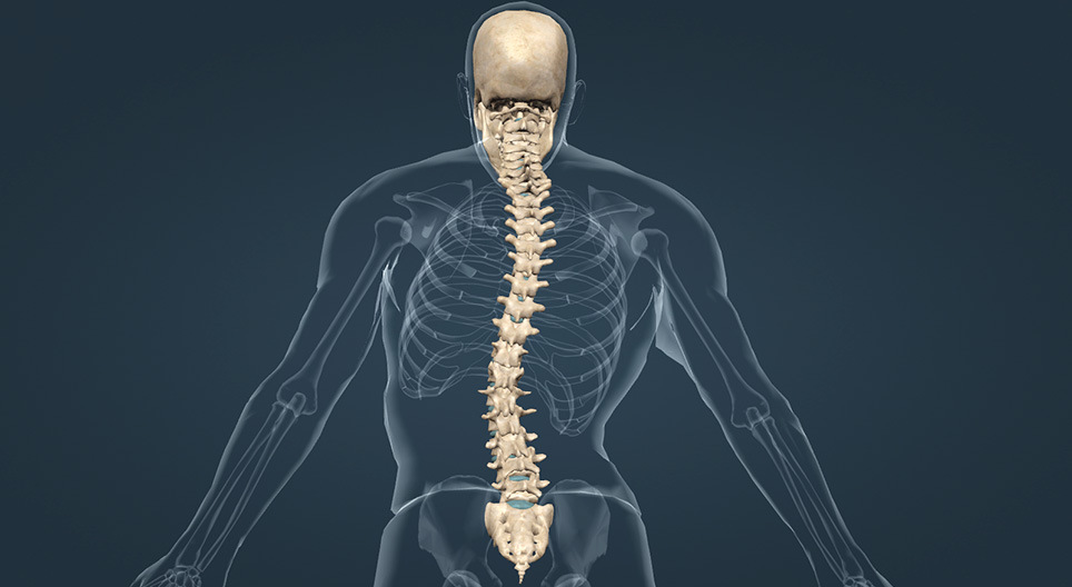 Problemas de saúde relacionados com a coluna vertebral
