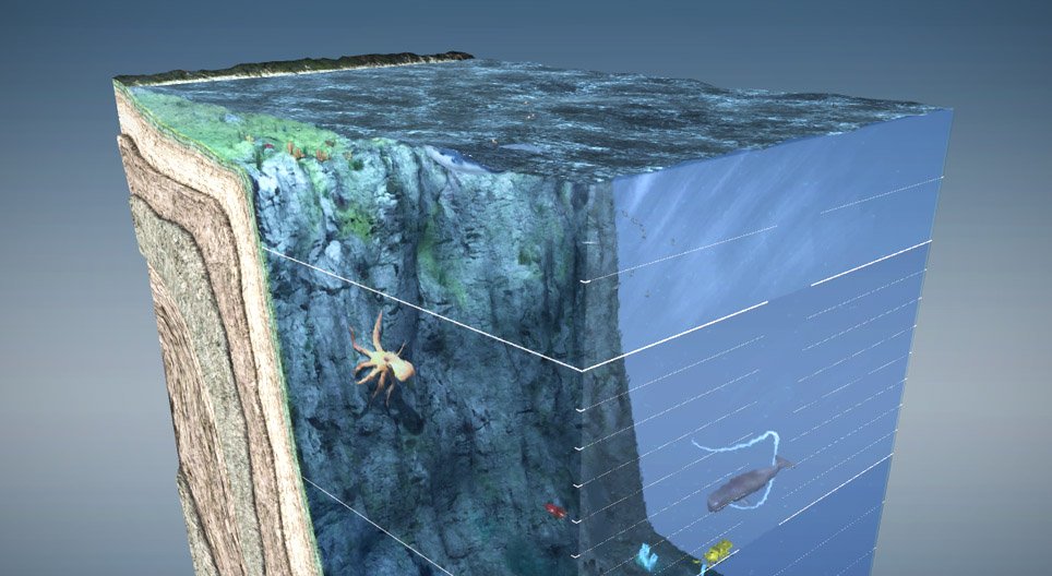 Camadas oceânicas