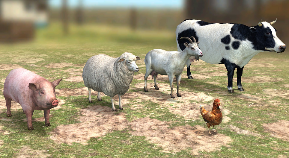 Animalele din gospodărie