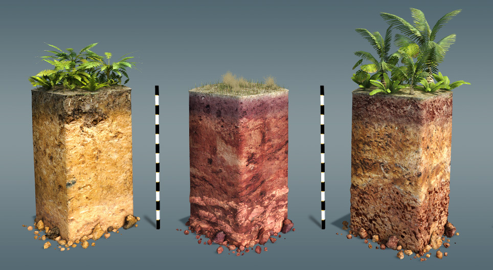 Типы почв (почвенные профили)