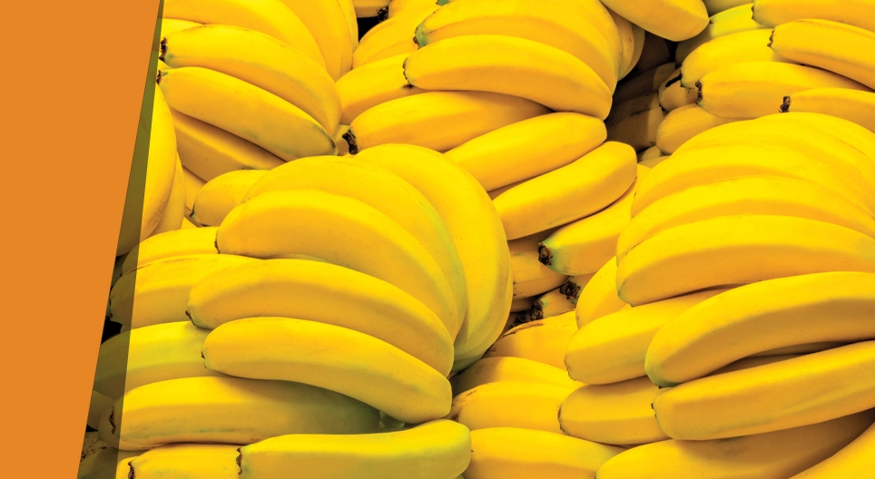 Modra banana