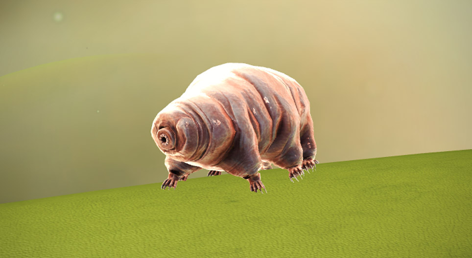 Počasnik (tardigrad)