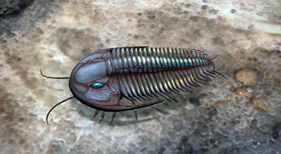 Trilobiti ali trokrparji