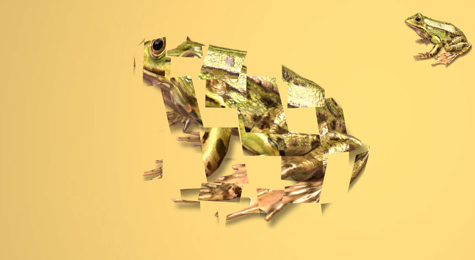 3D rotacijska igra