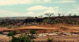Sabana africana