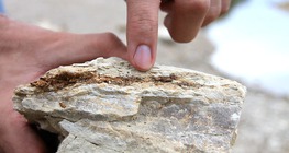 The rock cycle