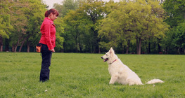 Die Rolle der Belohnung in der Hundeausbildung