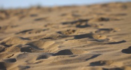 Sedimentary rock